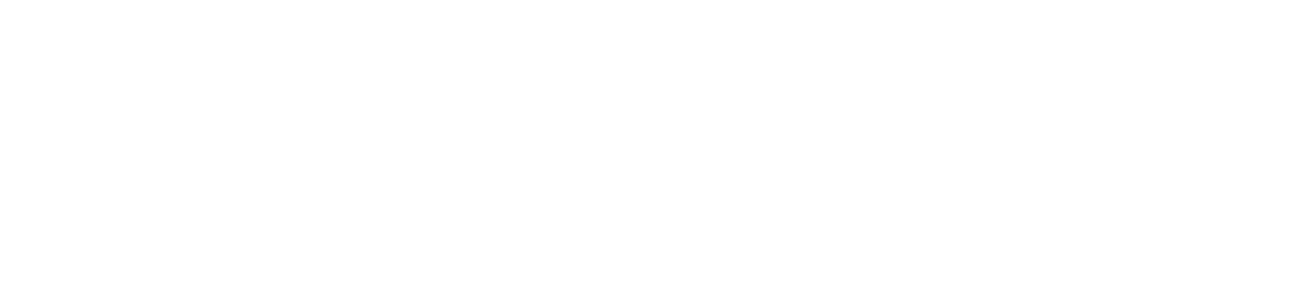 EN_Co-fundedbytheEU_RGB_WHITE Outline
